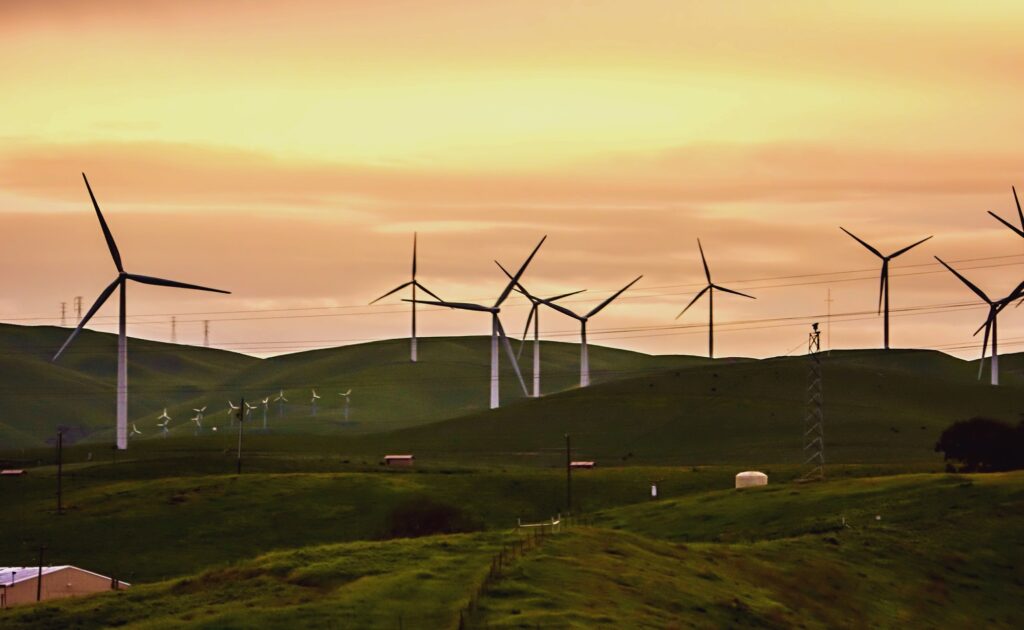 Renewable resources